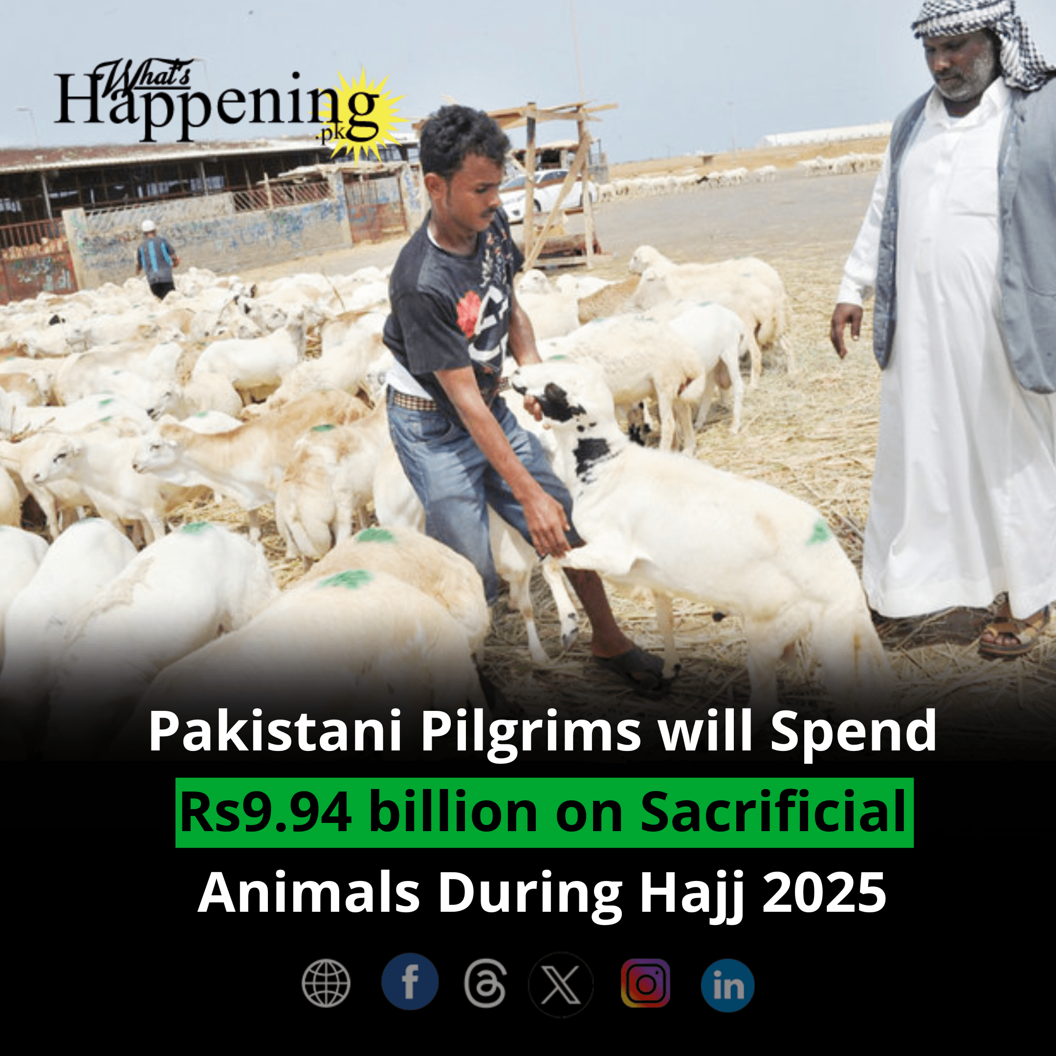 Pakistani Pilgrims will Spend Rs9.94 billion on Sacrificial Animals During Hajj 2025
