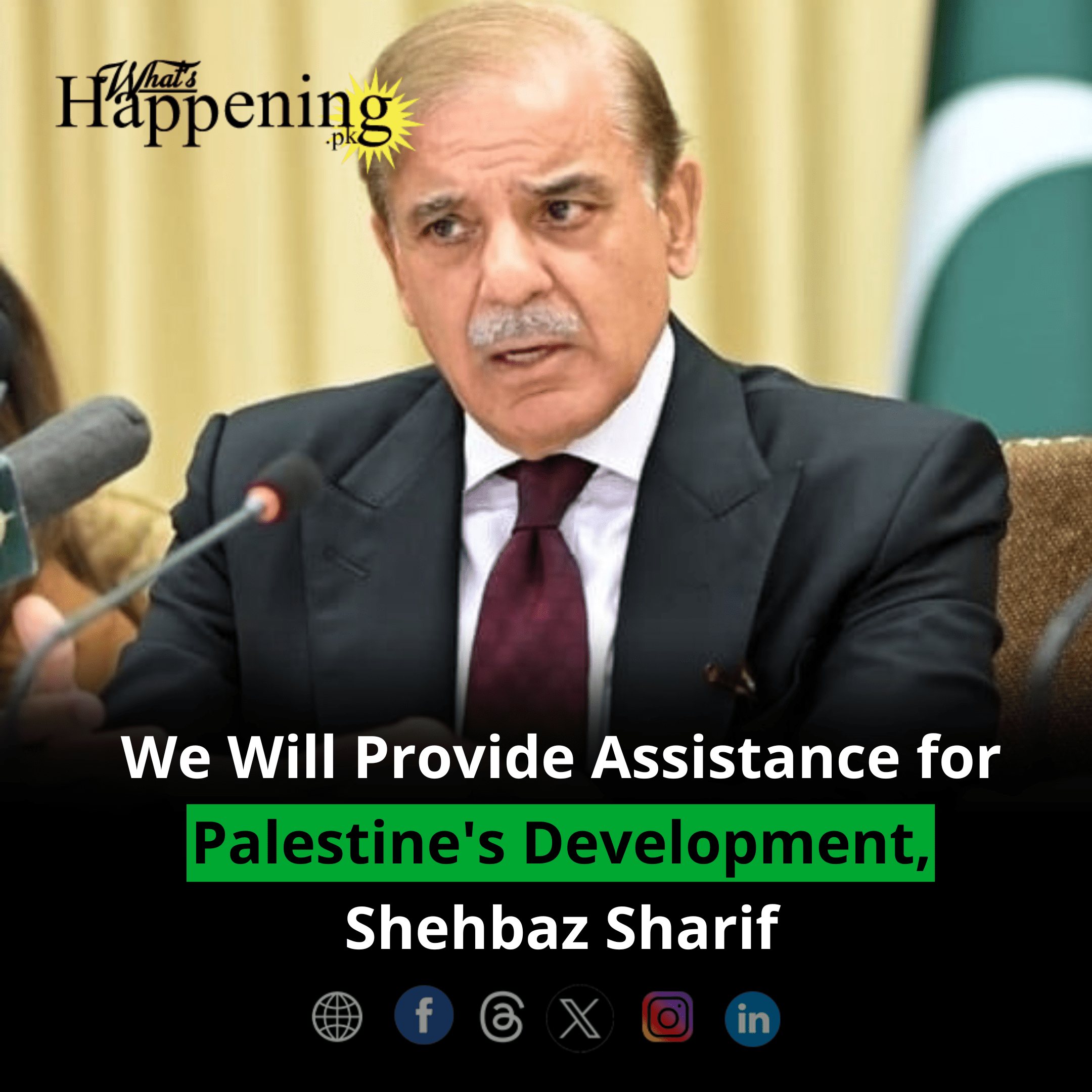 We Will Provide Assistance for Palestine's Development, Shehbaz Sharif