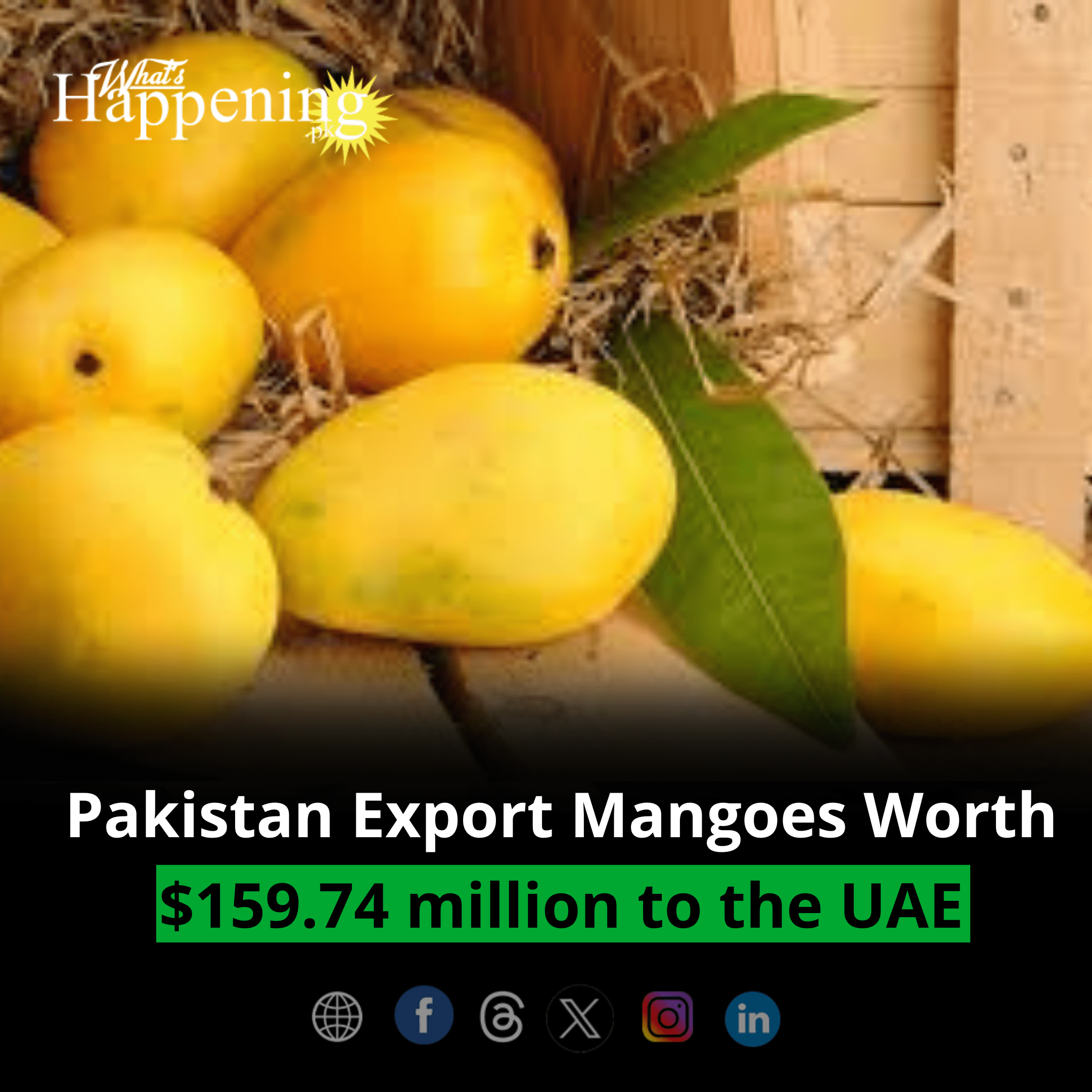 Pakistan Export Mangoes Worth $159.74 million to the UAE