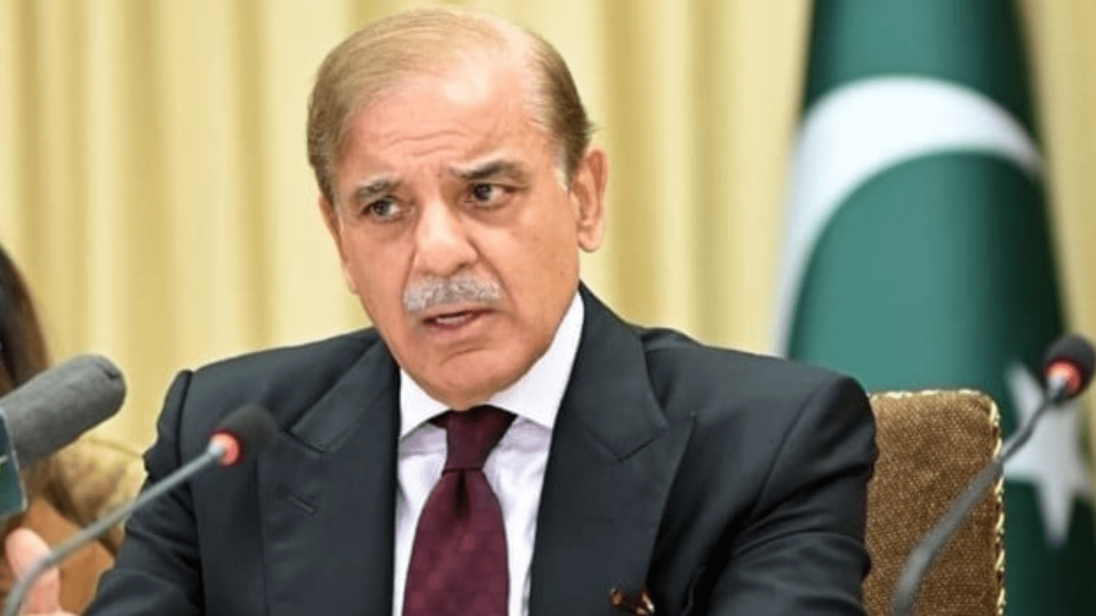 We Will Provide Assistance for Palestine's Development, Shehbaz Sharif