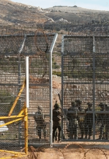 Israel Gaza War: Palestinian Civilians Suffer as Over 95 Killed