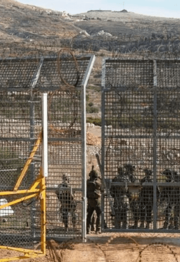 Israel Gaza War: Palestinian Civilians Suffer as Over 95 Killed
