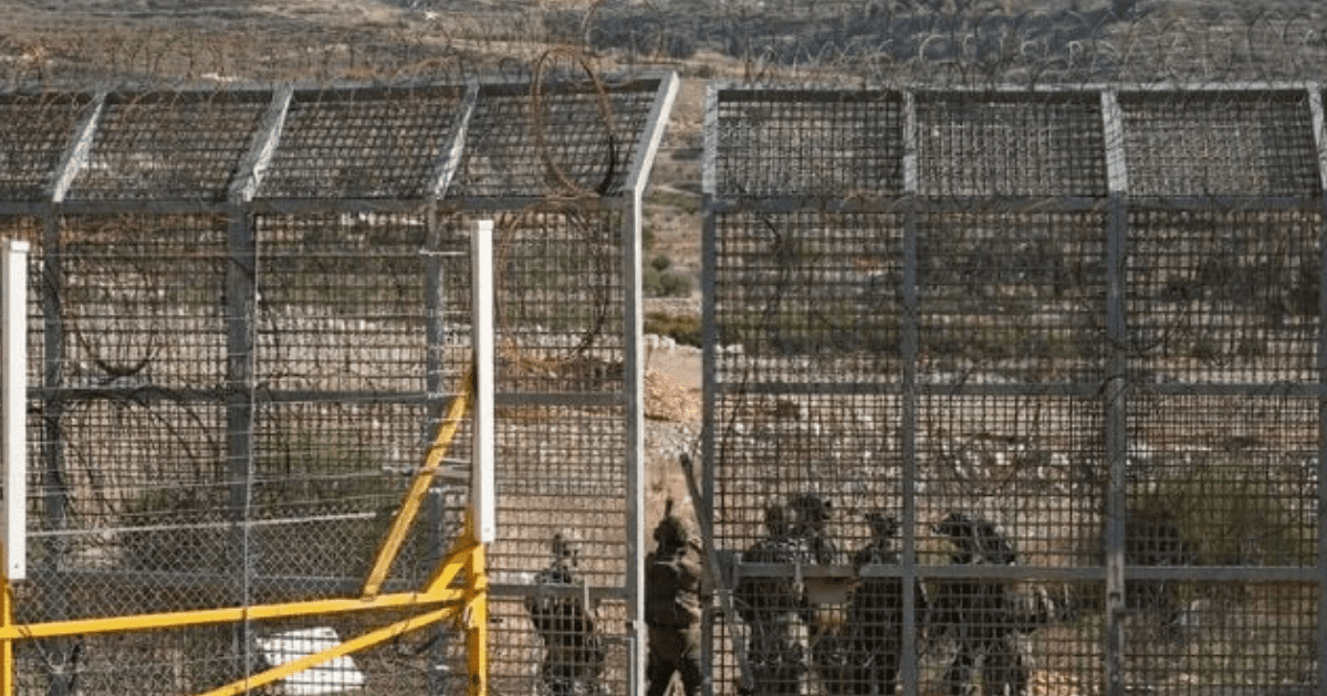 Israel Gaza War: Palestinian Civilians Suffer as Over 95 Killed